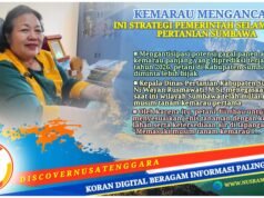 Antisipasi Kemarau Panjang, Petani Sumbawa Diminta Bijak Tentukan Pola Tanam