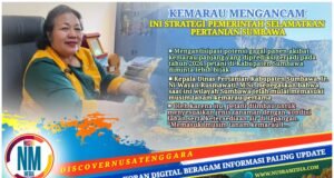 Antisipasi Kemarau Panjang, Petani Sumbawa Diminta Bijak Tentukan Pola Tanam