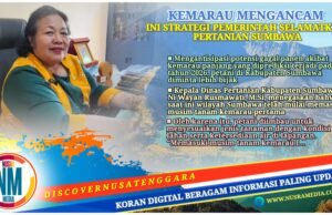 Antisipasi Kemarau Panjang, Petani Sumbawa Diminta Bijak Tentukan Pola Tanam