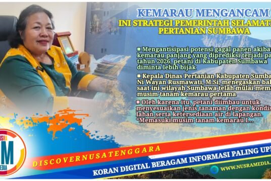 Antisipasi Kemarau Panjang, Petani Sumbawa Diminta Bijak Tentukan Pola Tanam