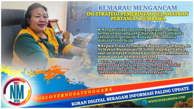 Antisipasi Kemarau Panjang, Petani Sumbawa Diminta Bijak Tentukan Pola Tanam