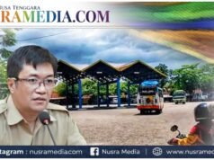 Sumbawa Rancang Pasar Induk Modern, Target Jadi Gerbang Ekspor Udang