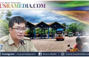 Sumbawa Rancang Pasar Induk Modern, Target Jadi Gerbang Ekspor Udang