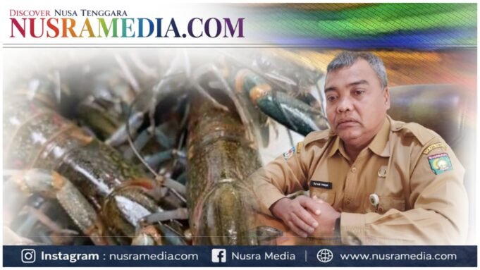 Dislutkan Sumbawa Pastikan Ekspor Benih Lobster Ilegal Tanpa SKA