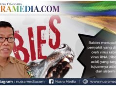 Dikes Sumbawa Minta Warga Waspada Gigitan HPR