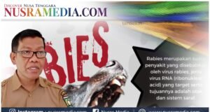 Dikes Sumbawa Minta Warga Waspada Gigitan HPR