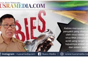 Dikes Sumbawa Minta Warga Waspada Gigitan HPR