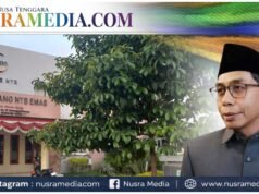 PT GNE Bangkit dari Kerugian, DPRD NTB Ingatkan Tantangan Besar di Depan