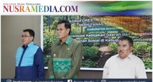 Pemkab Sumbawa Siapkan Skema Agroforestri Gantikan Jagung di Kawasan Hutan