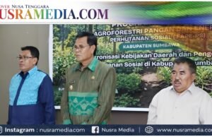 Pemkab Sumbawa Siapkan Skema Agroforestri Gantikan Jagung di Kawasan Hutan