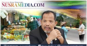 Blusukan di Dompu, Johan Rosihan Soroti Stabilitas Harga dan Serapan Hasil Panen