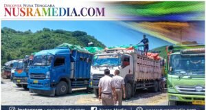 Pemprov NTB Tegaskan Pengiriman Ternak 2026 Lebih Tertata