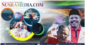 Bersama Hiu Paus di Teluk Saleh, Cara Unik Johan Rosihan Rayakan Milad PKS ke-24