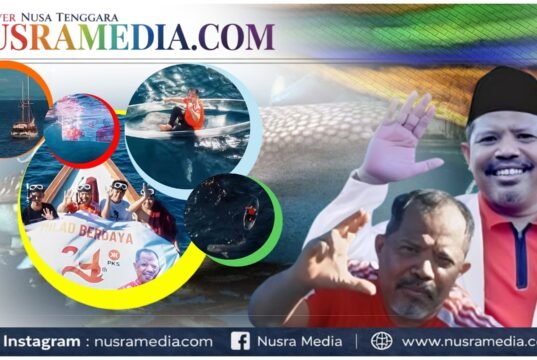 Bersama Hiu Paus di Teluk Saleh, Cara Unik Johan Rosihan Rayakan Milad PKS ke-24