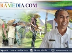 Cakupan Perlindungan Pekerja Rentan di Sumbawa Terus Diperluas