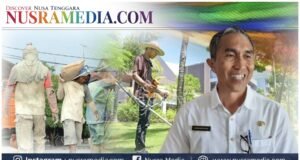 Cakupan Perlindungan Pekerja Rentan di Sumbawa Terus Diperluas