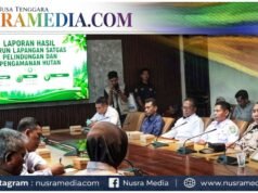 Bupati Jarot Tegas : Kayu Illegal Logging Dicacah, Alat Berat Segera Ditertibkan