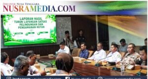 Bupati Jarot Tegas : Kayu Illegal Logging Dicacah, Alat Berat Segera Ditertibkan