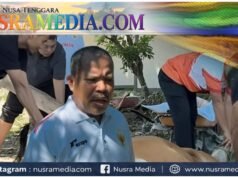Idul Adha 1447 H, Johan Rosihan Tebar 19 Hewan Kurban di Pulau Sumbawa