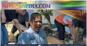 Idul Adha 1447 H, Johan Rosihan Tebar 19 Hewan Kurban di Pulau Sumbawa