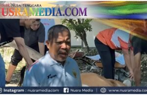 Idul Adha 1447 H, Johan Rosihan Tebar 19 Hewan Kurban di Pulau Sumbawa