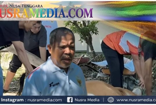 Idul Adha 1447 H, Johan Rosihan Tebar 19 Hewan Kurban di Pulau Sumbawa