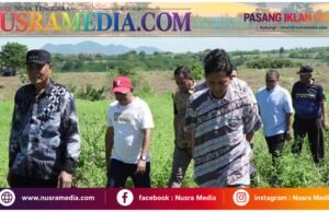 Tim Kementerian PU Verifikasi Lahan 15 Hektare, Pembangunan Sekolah Rakyat Sumbawa Segera Dieksekusi