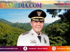 Sumbawa Hijau Lestari : Menjaga Hutan, Menyelamatkan Masa Depan Generasi Sumbawa