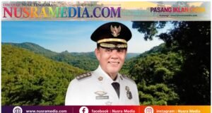 Sumbawa Hijau Lestari : Menjaga Hutan, Menyelamatkan Masa Depan Generasi Sumbawa
