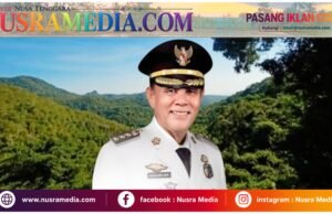 Sumbawa Hijau Lestari : Menjaga Hutan, Menyelamatkan Masa Depan Generasi Sumbawa