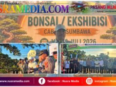 Ketua DPRD Sumbawa Resmi Buka Pameran dan Ekshibisi Bonsai PPBI, Menuju Pameran Nasional 2027