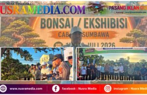 Ketua DPRD Sumbawa Resmi Buka Pameran dan Ekshibisi Bonsai PPBI, Menuju Pameran Nasional 2027