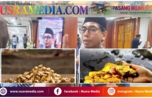 Tambang Rakyat Harus Dilegalkan, Bukan Dibiarkan Ilegal : Ranperda Pertambangan Jadi Harapan Baru Pulau Sumbawa