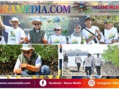 Peringati Hari Mangrove Sedunia dan HUT ke-62, Bank NTB Syariah Tanam Mangrove di Kawasan Ekowisata Paremas