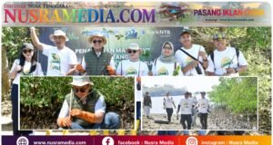 Peringati Hari Mangrove Sedunia dan HUT ke-62, Bank NTB Syariah Tanam Mangrove di Kawasan Ekowisata Paremas