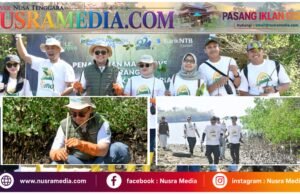 Peringati Hari Mangrove Sedunia dan HUT ke-62, Bank NTB Syariah Tanam Mangrove di Kawasan Ekowisata Paremas