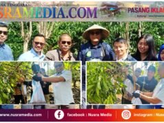 Ketua Komisi IV DPRD Sumbawa Dorong Kopi Batu Lanteh Menjadi Kebanggaan Nasional