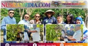 Ketua Komisi IV DPRD Sumbawa Dorong Kopi Batu Lanteh Menjadi Kebanggaan Nasional