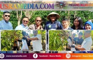 Ketua Komisi IV DPRD Sumbawa Dorong Kopi Batu Lanteh Menjadi Kebanggaan Nasional