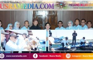 Anggota Komisi IV DPR Johan Rosihan : Potensi Lobster Besar, Ekosistem Budidaya Belum Terbentuk
