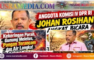 Kekeringan Mengancam Air Bersih dan Pangan, DPR Desak Pemerintah Lebih Aktif dan Efektif