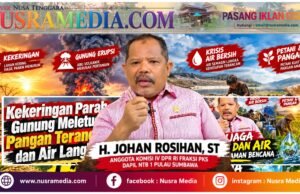 Anggota DPR RI asal NTB Johan Rosihan : Menjaga Air Berarti Menjaga Pangan dan Masa Depan Petani