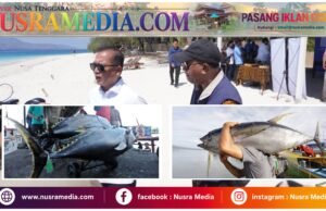 Tuna NTB Tembus Pasar Amerika, Industri Pengolahan Lombok Timur Unjuk Daya Saing