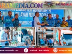NTB Perkuat Hilirisasi, Kemiri dan Vanili Resmi Menembus Pasar Amerika Serikat dan Jepang