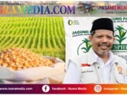 Jagung Pasar Rp8 Ribu, SPHP Rp5 Ribu, Johan Rosihan : Selisih Harga Harus Dinikmati Peternak Rakyat