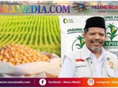 Jagung Pasar Rp8 Ribu, SPHP Rp5 Ribu, Johan Rosihan : Selisih Harga Harus Dinikmati Peternak Rakyat