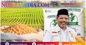Jagung Pasar Rp8 Ribu, SPHP Rp5 Ribu, Johan Rosihan : Selisih Harga Harus Dinikmati Peternak Rakyat
