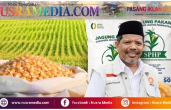 Jagung Pasar Rp8 Ribu, SPHP Rp5 Ribu, Johan Rosihan : Selisih Harga Harus Dinikmati Peternak Rakyat