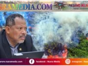 2.458 Penerbangan Terdampak Kabut Asap Karhutla, Johan Rosihan Desak Audit Efektivitas Pengendalian
