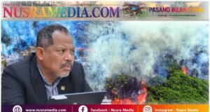 2.458 Penerbangan Terdampak Kabut Asap Karhutla, Johan Rosihan Desak Audit Efektivitas Pengendalian